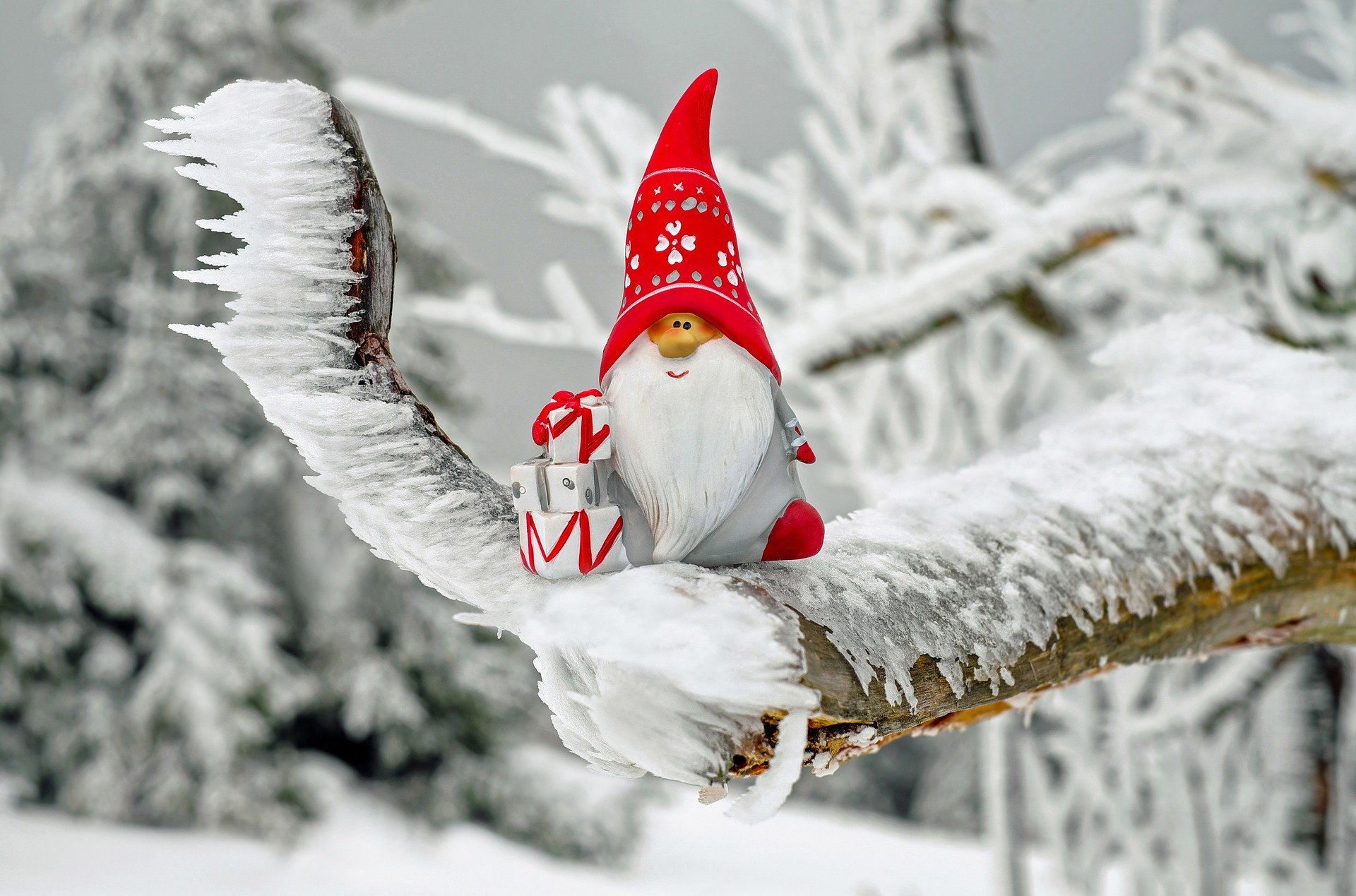 Noël